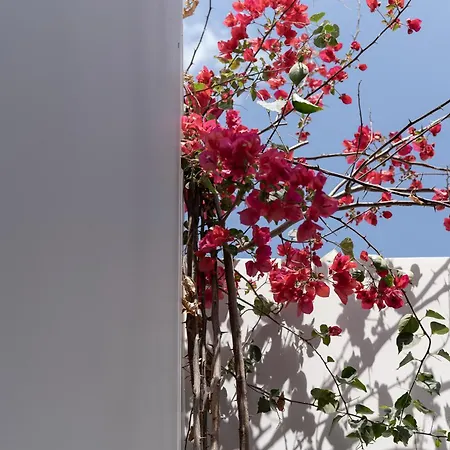 Holiday home Porto-cheli Sunset View House Porto Heli